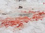 Место нападения бездомных собак Место нападения бездомных собак