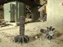 Цех по производству взрывчатки в Сирии Цех по производству взрывчатки в Сирии