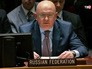 Постпред России при ООН Василий Небензя Постпред России при ООН Василий Небензя