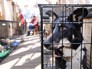 Площадка фестиваля "Пасхальный дар", посвященная брошенным животным Площадка фестиваля "Пасхальный дар", посвященная брошенным животным