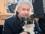 Мэр Москвы Сергей Собянин с собакой Джоуи Мэр Москвы Сергей Собянин с собакой Джоуи