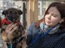 Волонтёры и брошенные животные Волонтёры и брошенные животные