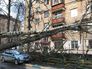 Последствия мощного урагана в Москве Последствия мощного урагана в Москве