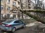 Последствия урагана в Москве Последствия урагана в Москве