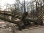 Последствия урагана в Москве Последствия урагана в Москве