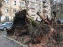 Последствия обрушившегося на Москву урагана Последствия обрушившегося на Москву урагана