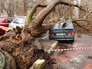 Последствия урагана в Москве Последствия урагана в Москве