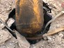 Место инсценировки химатаки в Сирии Место инсценировки химатаки в Сирии