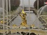 Государственный музей-заповедник Петергоф в Петергофе Государственный музей-заповедник Петергоф в Петергофе