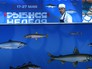 Фестиваль "Рыбная неделя" в Москве Фестиваль "Рыбная неделя" в Москве