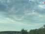 Нашествие комаров в Воронежской области Нашествие комаров в Воронежской области