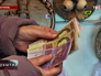 Украинские гривны Украинские гривны