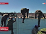Штурм воинской части бойцами самообороны Крыма Штурм воинской части бойцами самообороны Крыма
