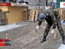 Грядки на площади Независимости в Киеве Грядки на площади Независимости в Киеве