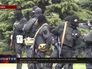 Снайперы Снайперы