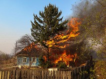 Последствия природных пожаров в Амурской области