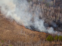 Лесной пожар в Амурской области