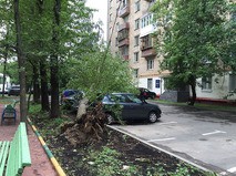 Последствия грозы в Москве