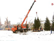 Высадка деревьев в парке "Зарядье"