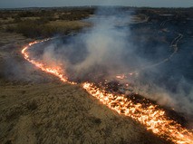 Полевые пожары в Колыванском районе Новосибирской области