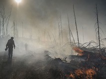 Последствия лесных природных пожаров