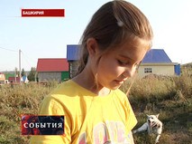 "События". Эфир от 30.08.2017 19:40