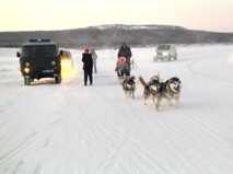 Петровка, 38. "Петровка, 38". Эфир от 04.02.2018 08:15