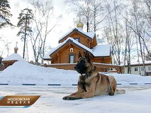 Эфир от 25.02.2018