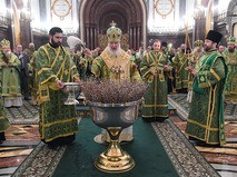 Православные отмечают Вербное воскресенье