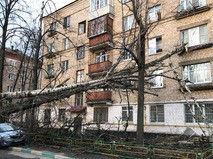 Последствия обрушившегося на Москву урагана