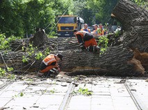 Последствия урагана в Москве