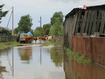 "События". Эфир от 29.07.2019 22:00