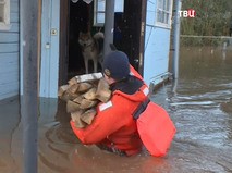 "События". Эфир от 09.11.2019 11:30