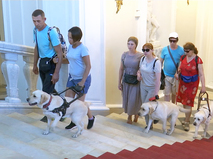 Посетители с собаками-поводырями в Эрмитаже