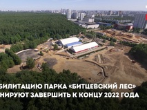 Реабилитация парка "Битцевский лес"