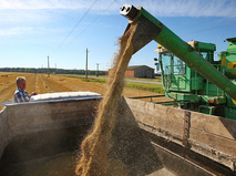 Уборка зерна