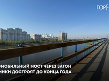 Мост через затон Новинки