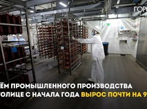 Промышленное производство в Москве