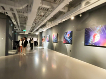 Выставка современного искусства Sistema Gallery