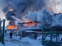 Пожар в приюте для животных на Сахалине