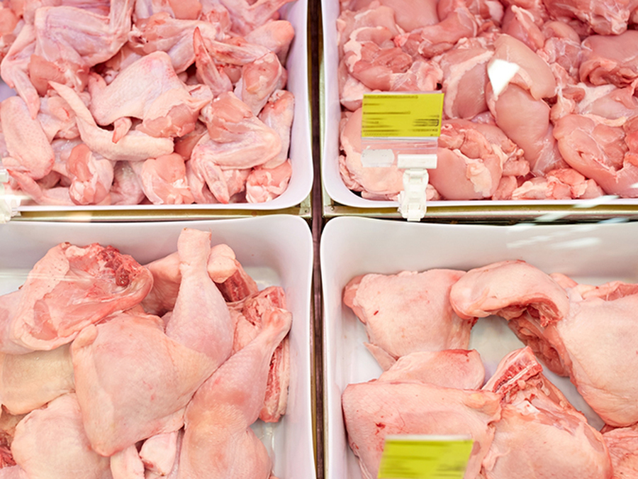 мясо птицы сальмонеллы. мясо птицы сальмонеллы. мясо птицы сальмонеллы. сальмонеллез листериоз. пищевое отравление сальмонеллами.