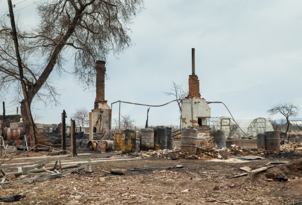 Последствия природных пожаров в Хакасии