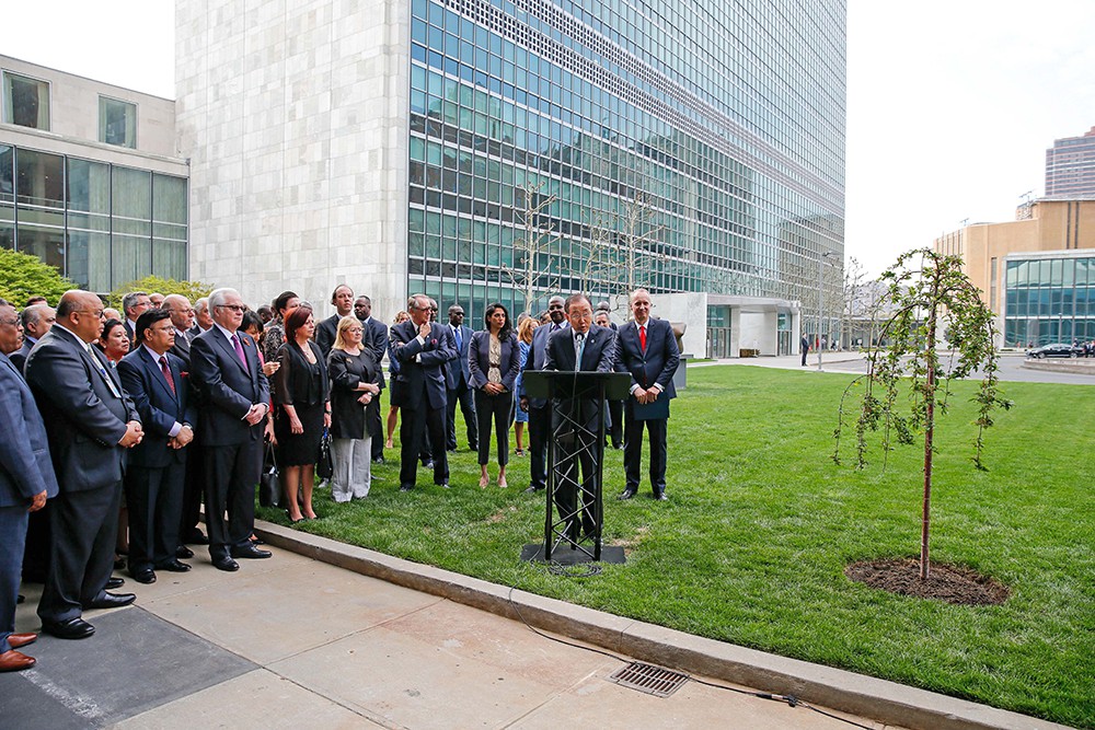 Высаживание "дерева мира и единства" в честь 70-летия окончания Второй Мировой войны у здания ООН
