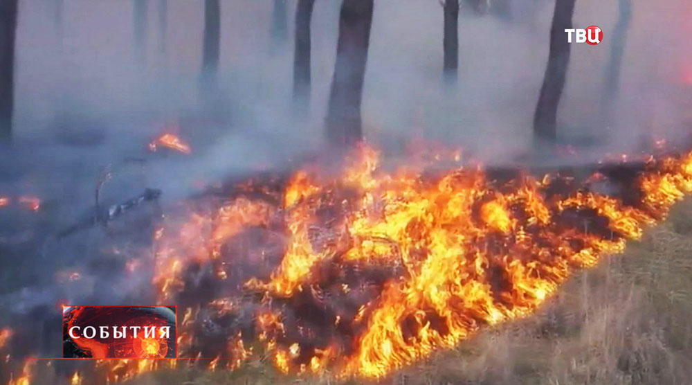 Лесные пожары в Забайкальском крае 