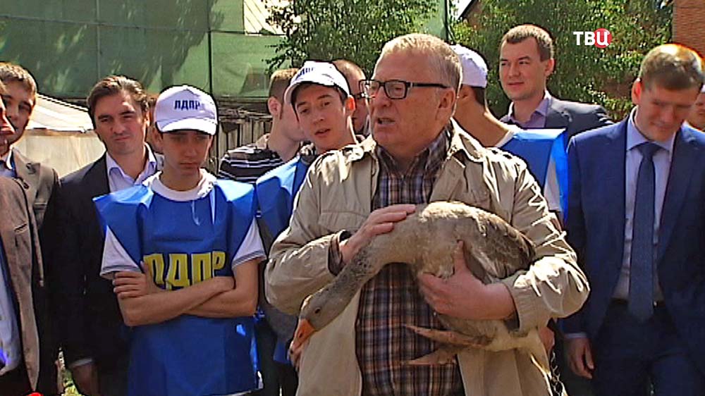 Владимир Жириновский держит гуся