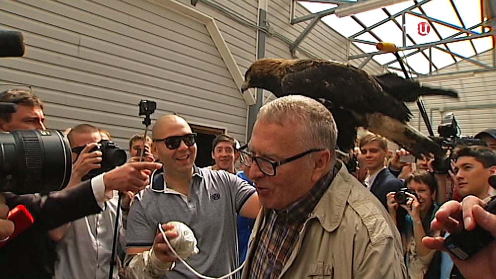 Орел на плече Владимира Жириновского