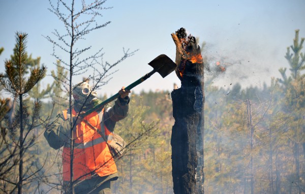 Тушение лесных пожаров в Забайкалье