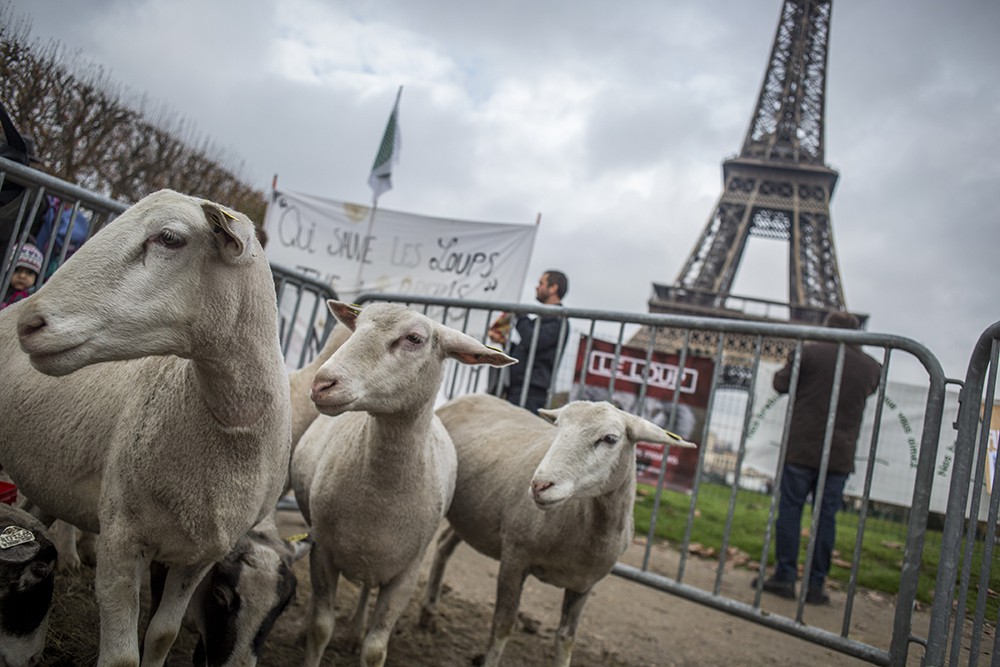 Протест французских фермеров 