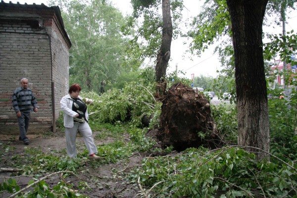 На улицах Томска повалены деревья после ураганного ветра