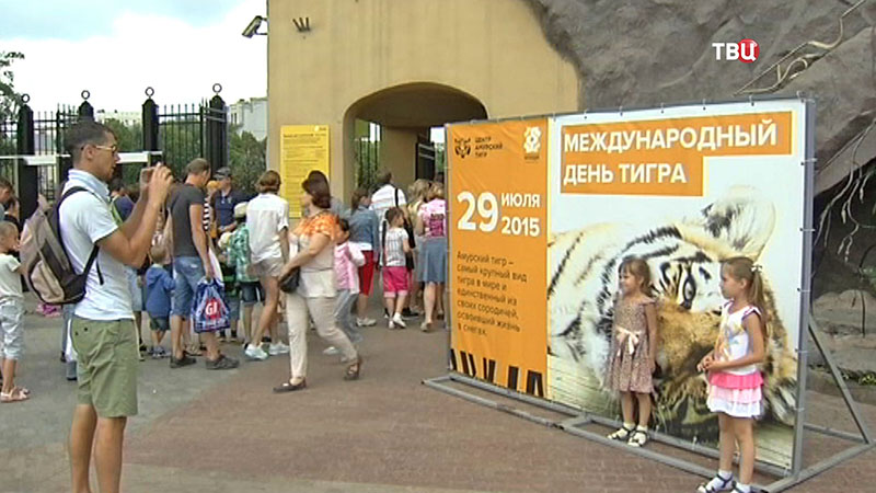 День тигра в Московском зоопарке 